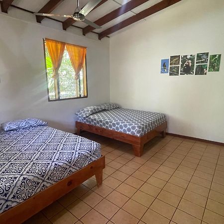 Cabinas Caribe Luna كويتا المظهر الخارجي الصورة