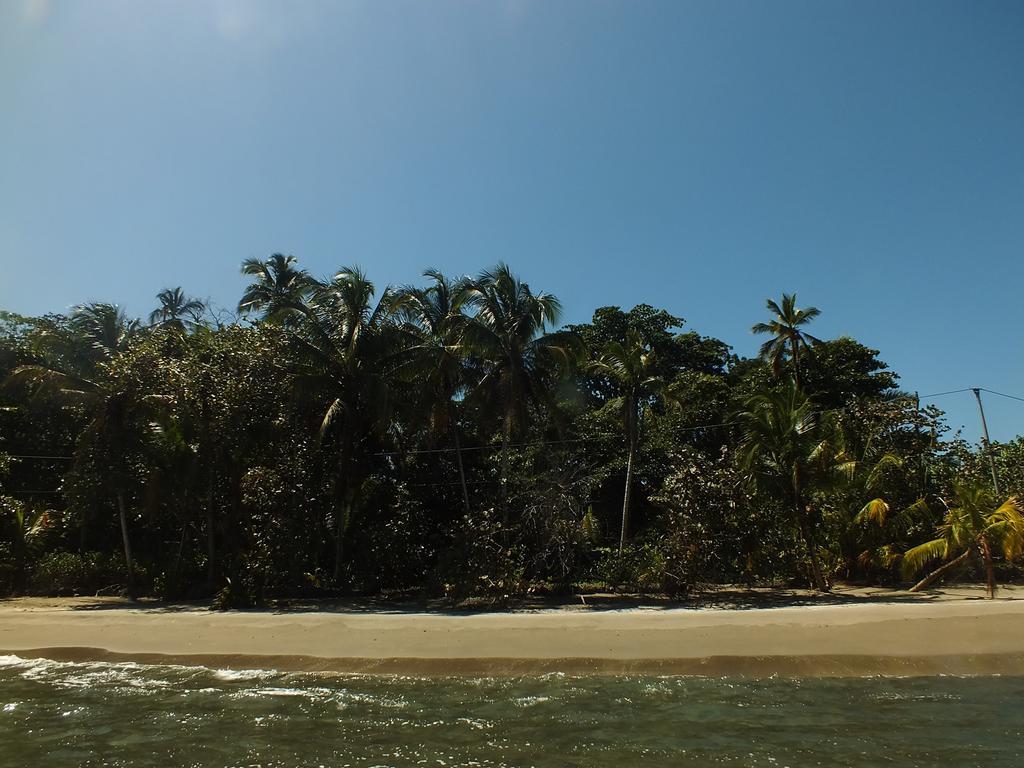 Cabinas Caribe Luna كويتا المظهر الخارجي الصورة