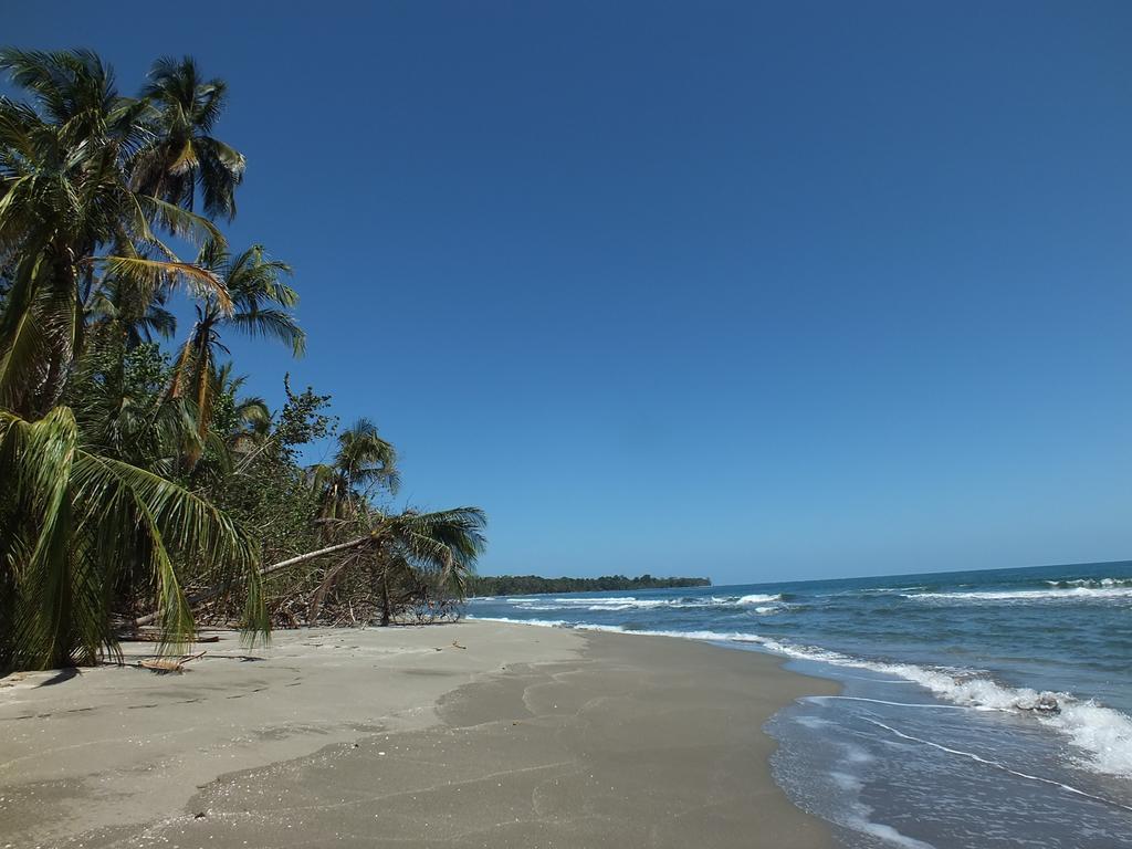 Cabinas Caribe Luna كويتا المظهر الخارجي الصورة