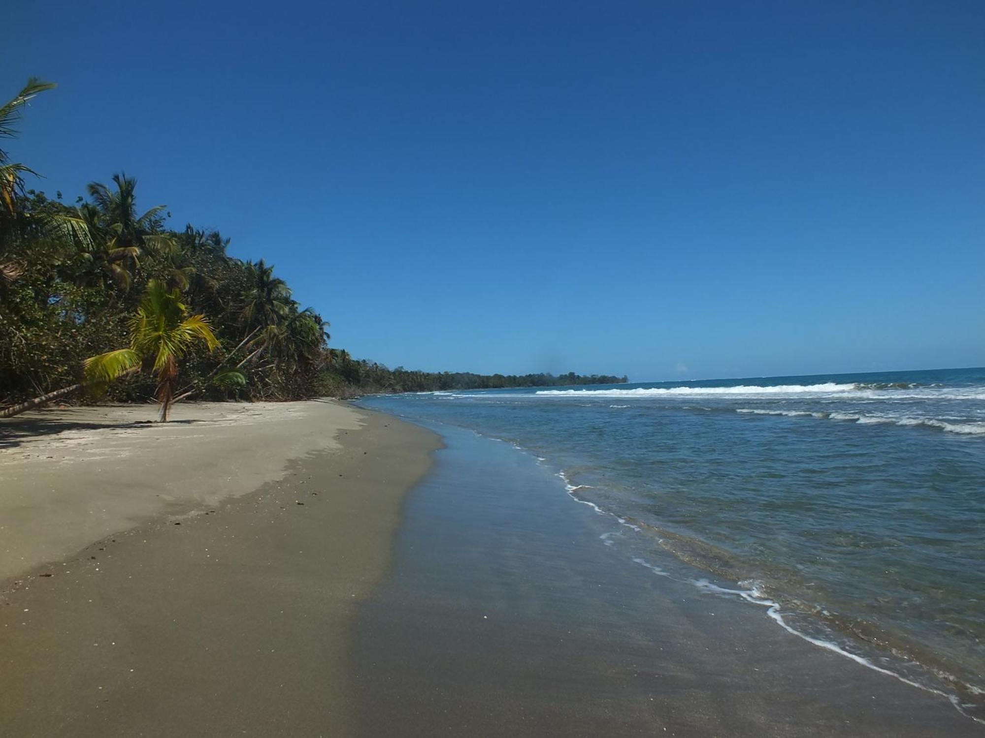 Cabinas Caribe Luna كويتا المظهر الخارجي الصورة