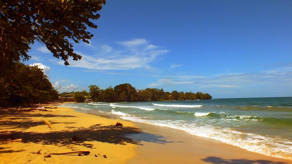 Cabinas Caribe Luna كويتا المظهر الخارجي الصورة