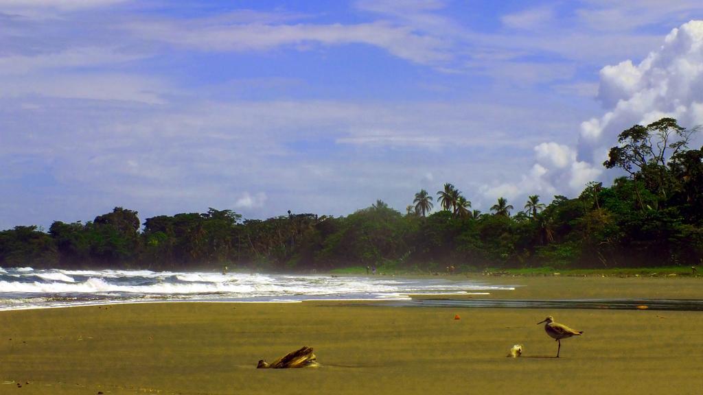 Cabinas Caribe Luna كويتا المظهر الخارجي الصورة