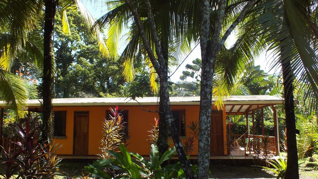Cabinas Caribe Luna كويتا المظهر الخارجي الصورة