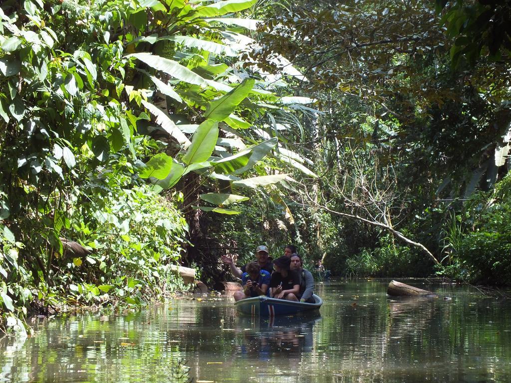 Cabinas Caribe Luna كويتا المظهر الخارجي الصورة
