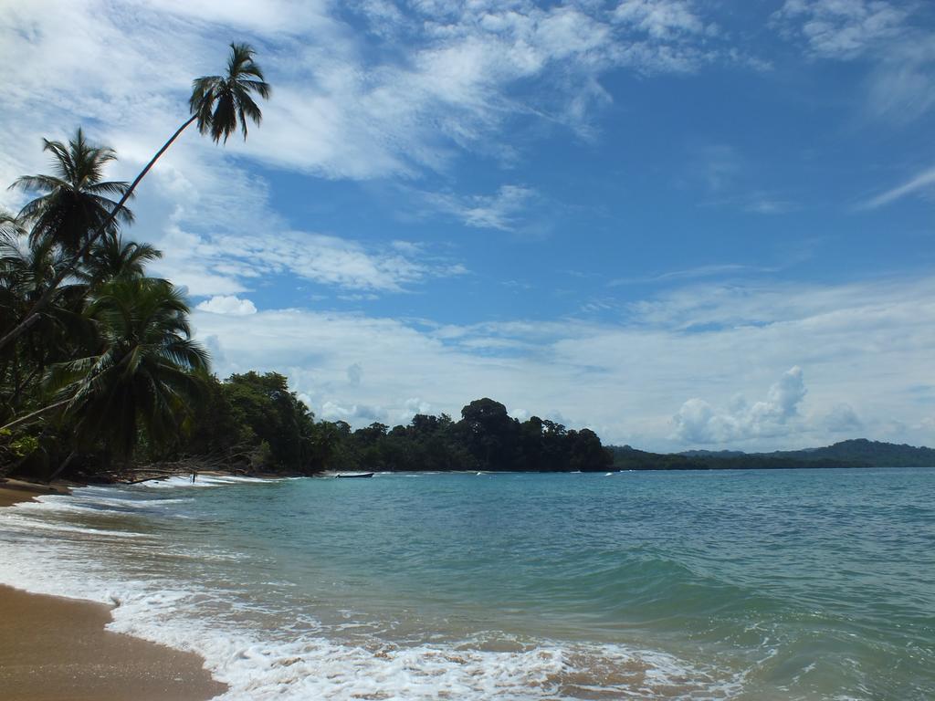 Cabinas Caribe Luna كويتا المظهر الخارجي الصورة