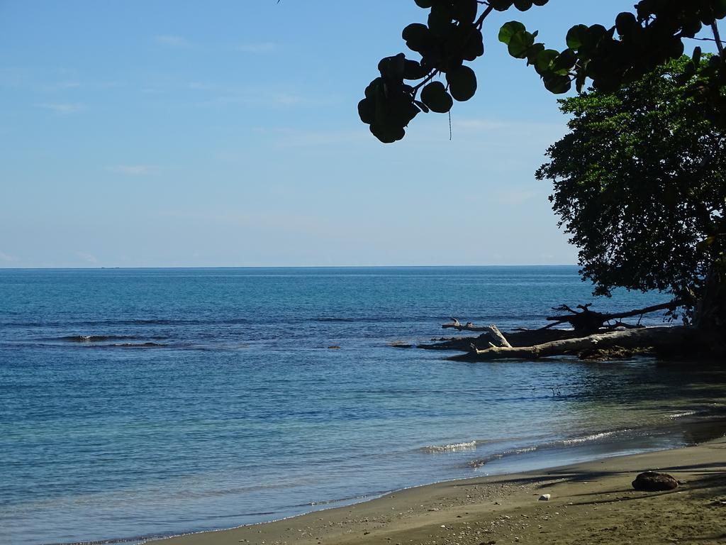 Cabinas Caribe Luna كويتا المظهر الخارجي الصورة