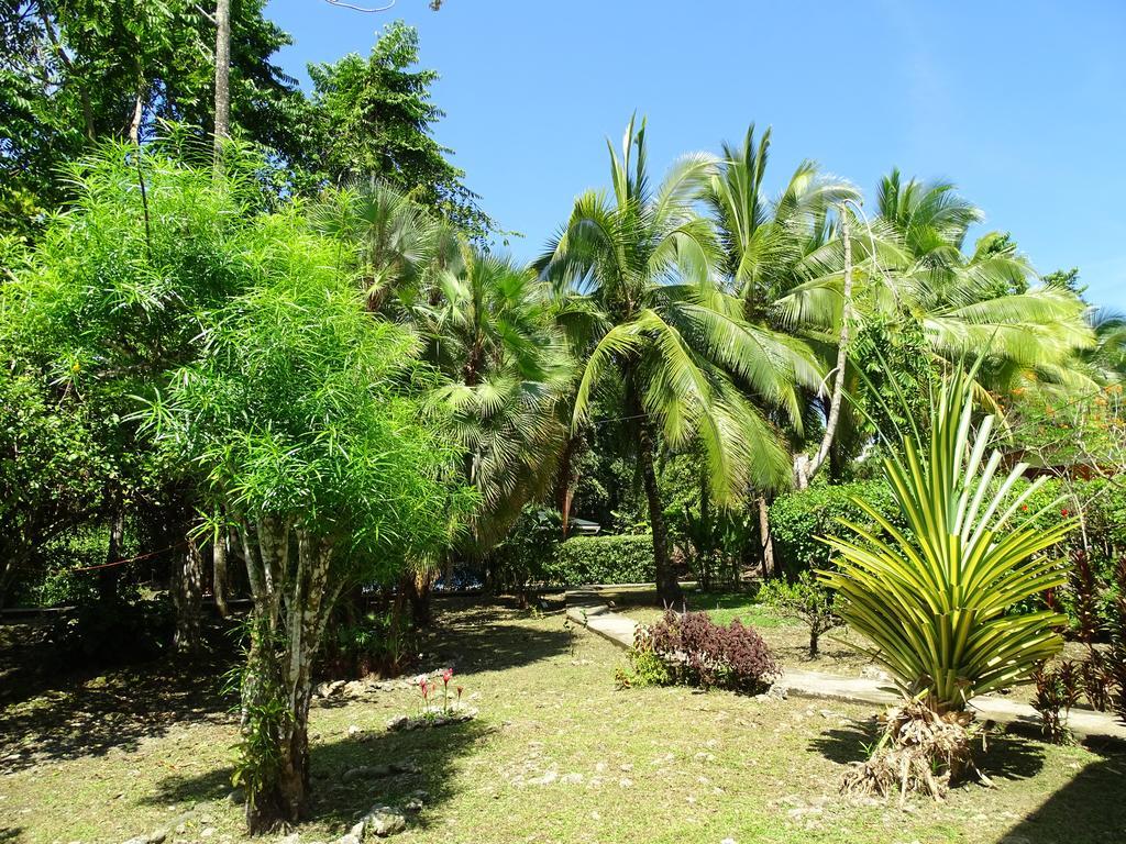 Cabinas Caribe Luna كويتا المظهر الخارجي الصورة